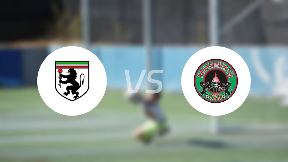 德尔特霍纳vs诺瓦罗曼坦比分预测【2025/11/16】