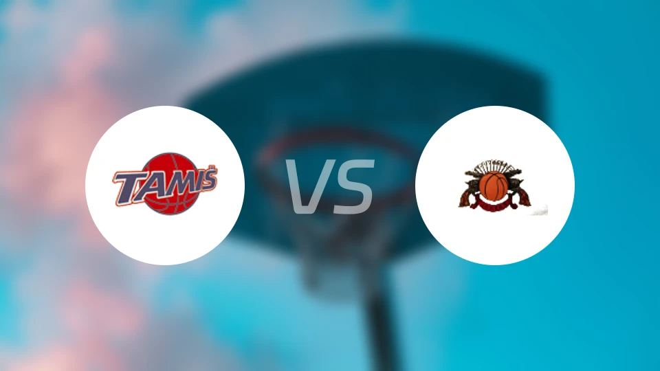 塔米斯vs小丑比分预测【2026/01/25】