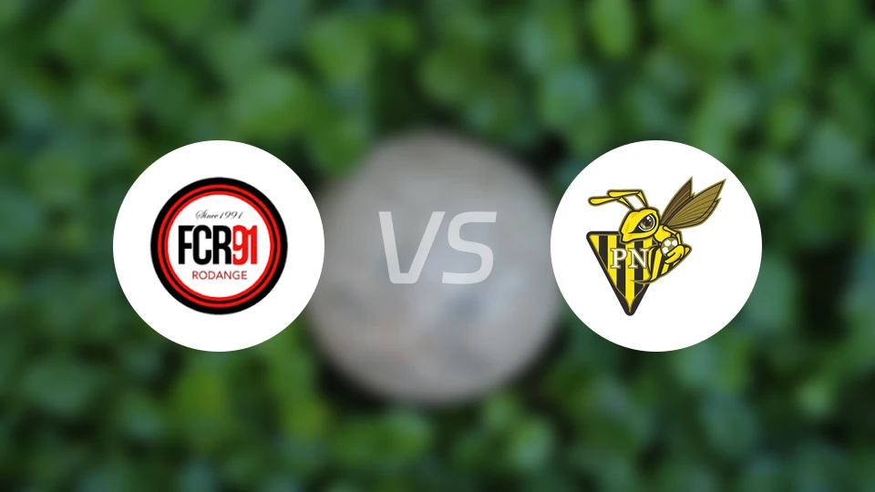 罗当治vs尼达克比分预测【2025/11/01】