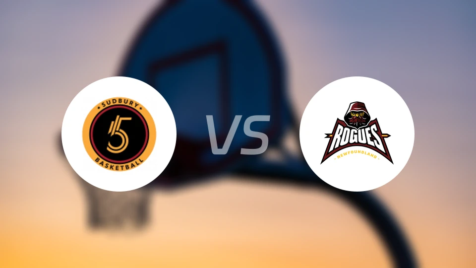 萨德伯里vs纽芬兰流氓比分预测【2026/02/20】