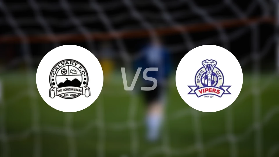 加略山vs毒蛇比分预测【2025/12/09】