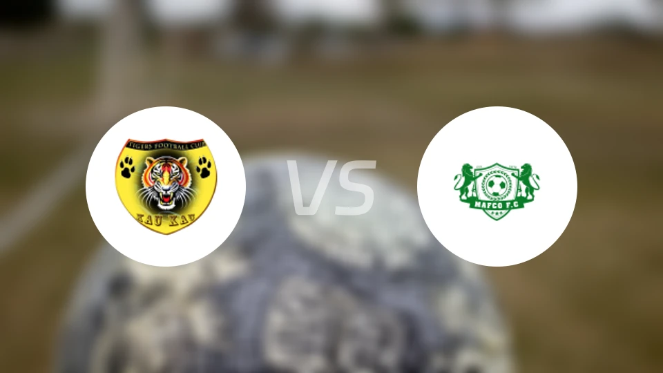 猛虎vs元素比分预测【2025/11/02】