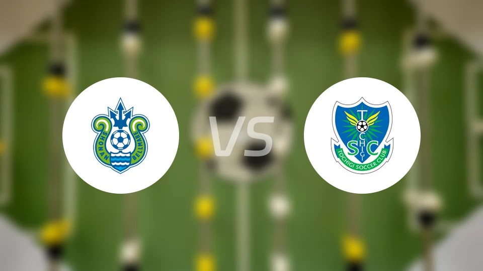 湘南丽海vs枥木SC比分预测【2026/04/04】