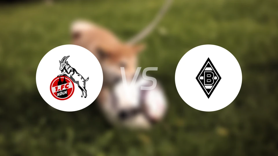 科隆vs门兴比分预测【2026/03/21】