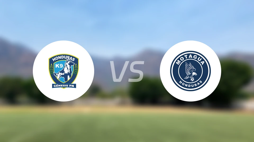 创世纪vs摩塔瓜比分预测【2026/02/12】