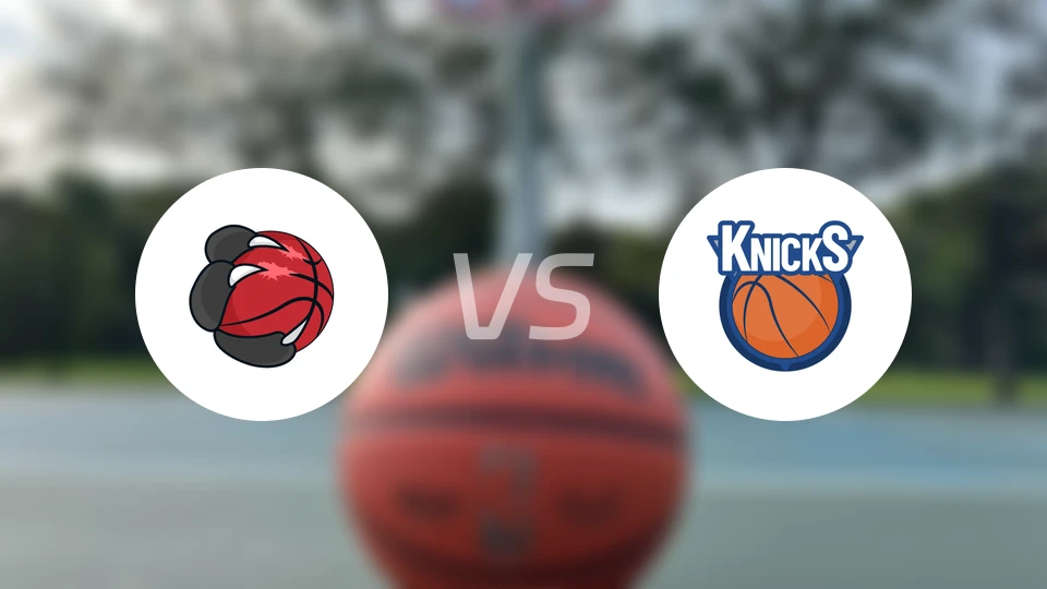 猛龙vs尼克斯比分预测【2025/12/01】