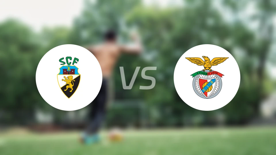 法鲁人vs本菲卡B队比分预测【2025/11/02】