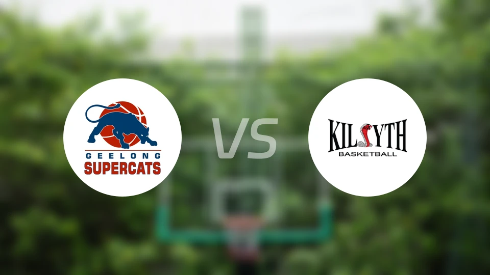 超级猫vs基尔塞斯眼镜蛇比分预测【2026/03/28】