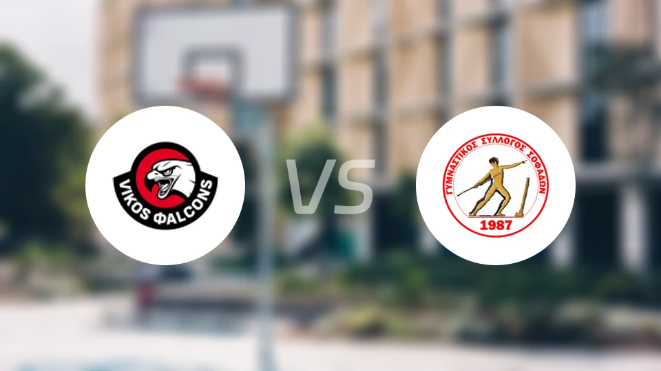 维科斯vs索菲特比分预测【2025/11/22】