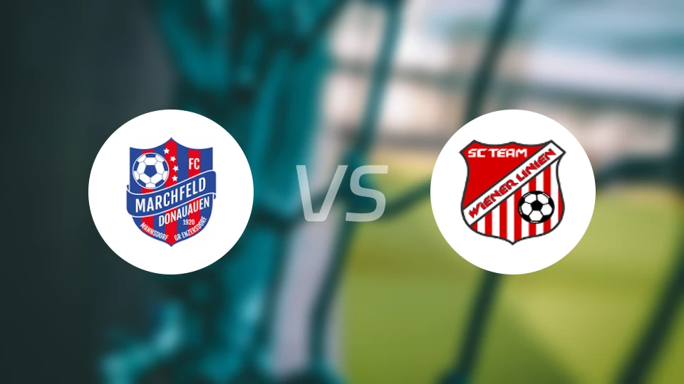 曼斯多夫vs维也纳利尼恩比分预测【2026/02/28】