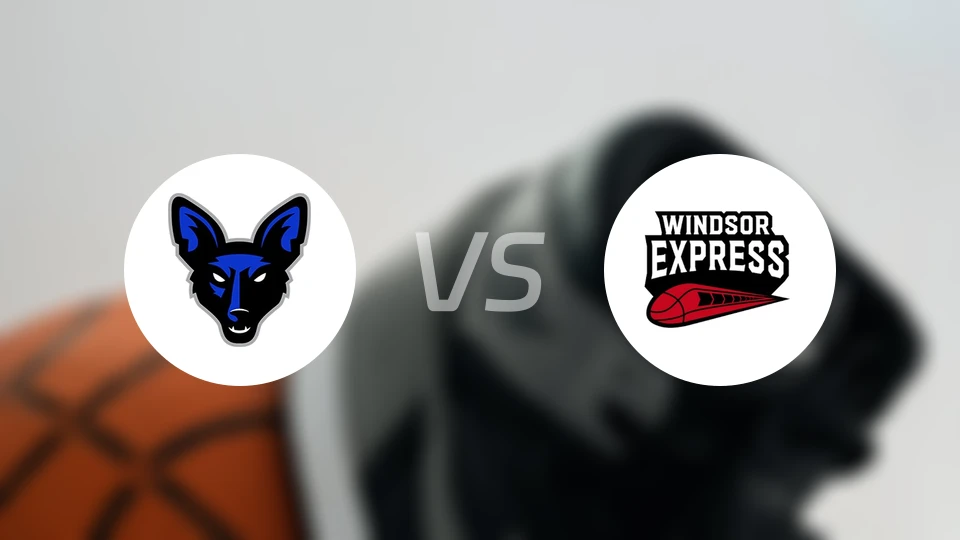 詹姆斯敦豺狼vs温莎快车比分预测【2026/02/08】