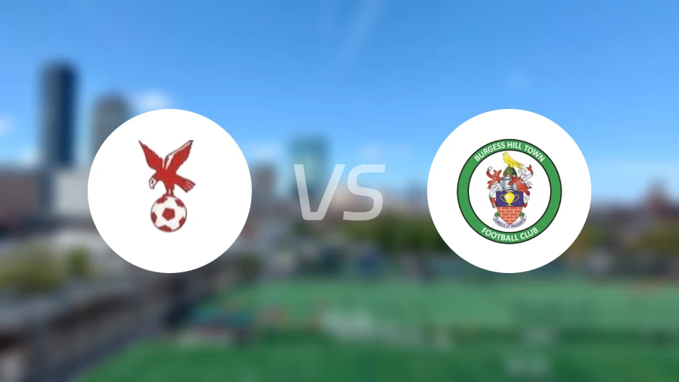 怀特豪克vs布格斯比分预测【2026/02/14】