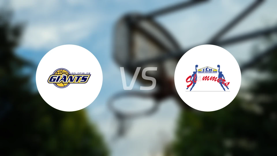 金矿巨人vs西南骇客比分预测【2026/03/28】