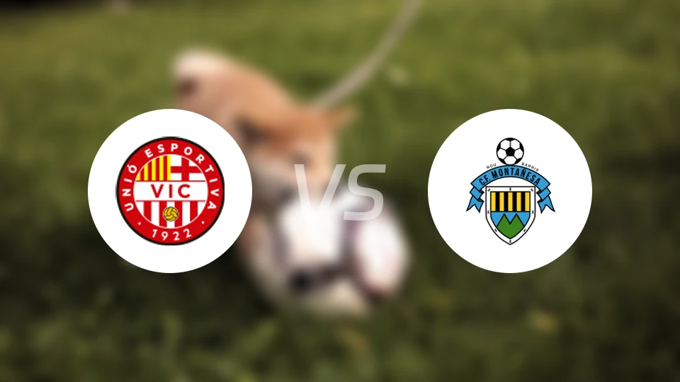 UE维克vs蒙塔尼萨比分预测【2026/01/04】