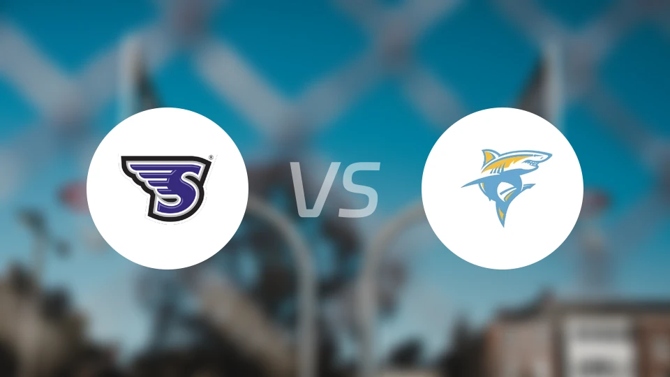 斯通希尔学院vs长岛大学比分预测【2026/02/08】