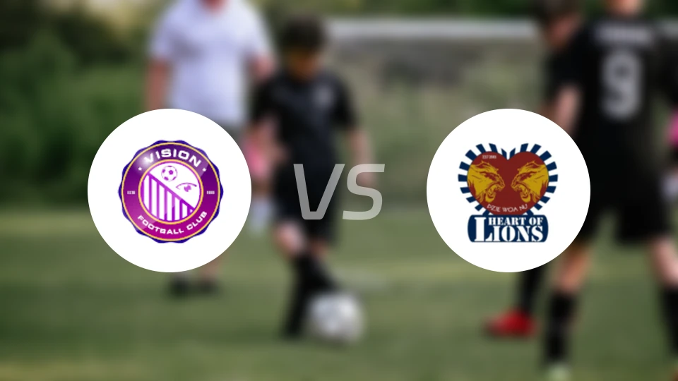 视觉FCvs狮心比分预测【2025/11/23】