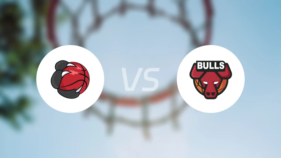 猛龙vs公牛比分预测【2026/02/20】