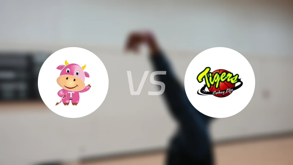 台元纺织女篮vs国泰人寿女篮比分预测【2026/01/04】