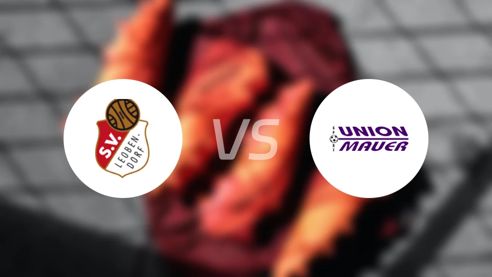 雷欧贝多夫vs莫尔比分预测【2025/11/01】