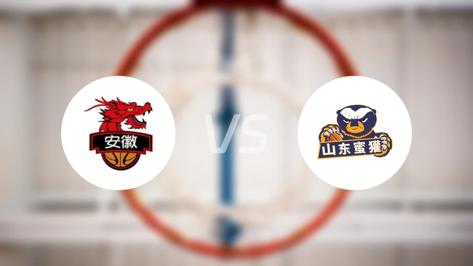 安徽皖江龙vs山东蜜獾录像回放【2025/12/25】