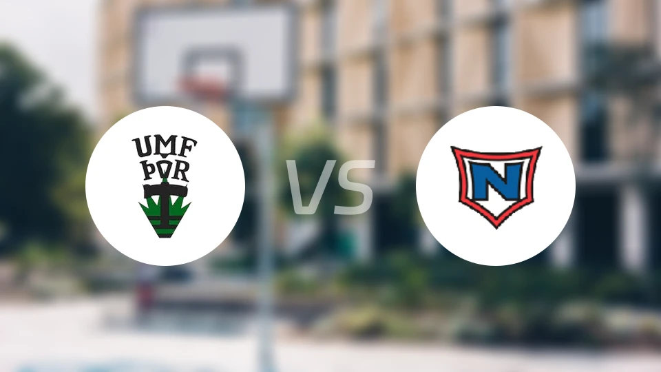 托尔vs拿尔维克比分预测【2026/03/20】