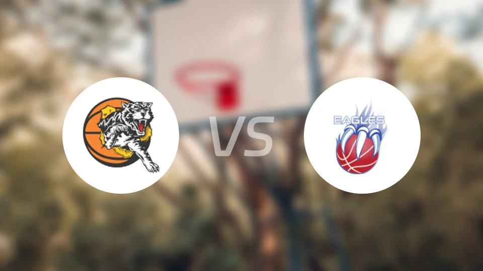 威尔莱顿老虎女篮vs东珀斯老鹰女篮比分预测【2026/03/28】