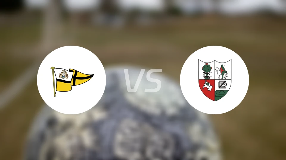 波图哥尼迪vs札木迪欧比分预测【2026/03/19】