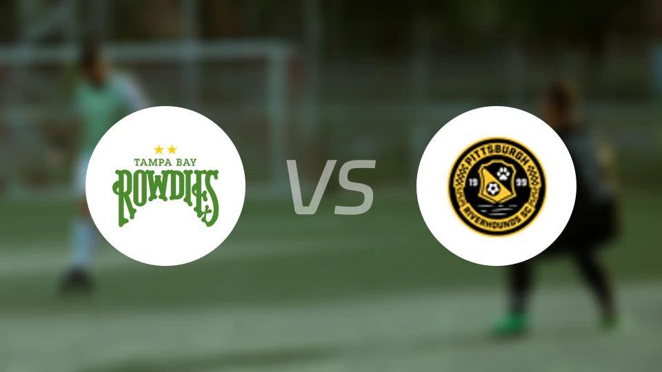 坦帕湾vs匹兹堡猎犬河队比分预测【2026/03/22】