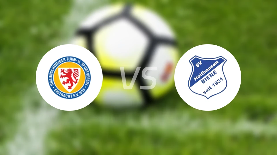 布伦瑞克二世vs霍尔特豪森蜜蜂比分预测【2025/12/13】