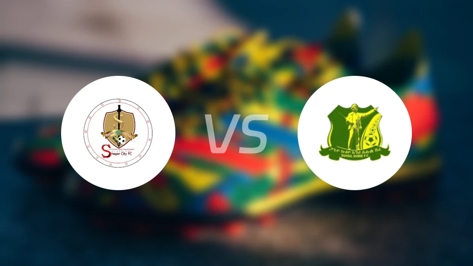 谢格尔凯特马vs夏尔内塞拉莱西比分预测【2026/02/04】