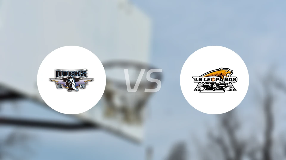 北京vs辽宁录像回放【2025/12/17】