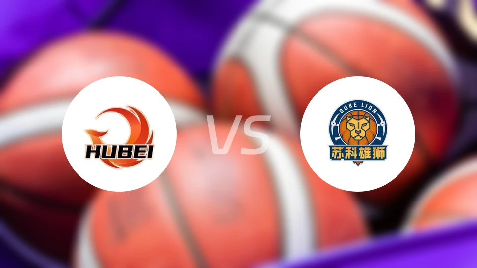 湖北文旅vs盐南苏科雄狮录像回放【2025/12/31】