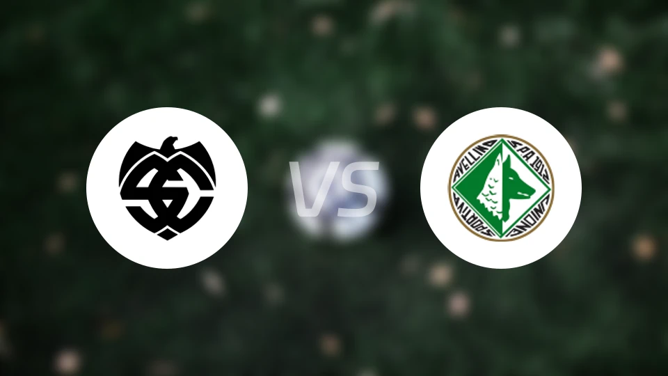 斯佩齐亚vs阿维利诺比分预测【2026/01/25】