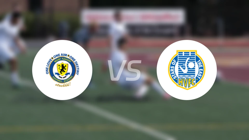 普莱森特法山vs哈波尔维比分预测【2026/01/19】