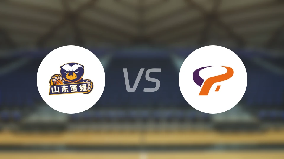 山东蜜獾vs杭州经纬录像回放【2025/12/29】