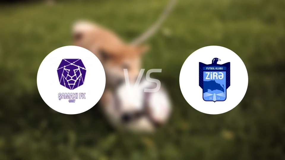 沙马基vs兹拉比分预测【2025/12/13】