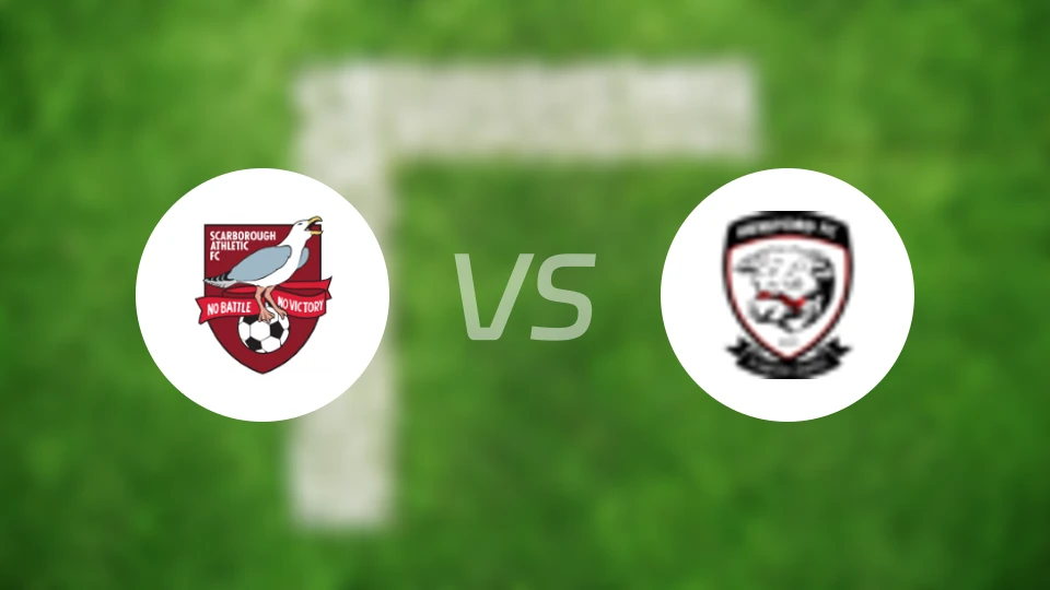 史卡保罗夫vs荷利霍特比分预测【2025/11/22】