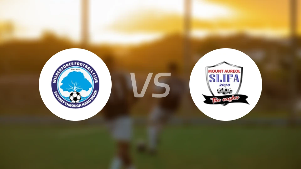 威尔伯福斯vs斯利法比分预测【2026/03/12】