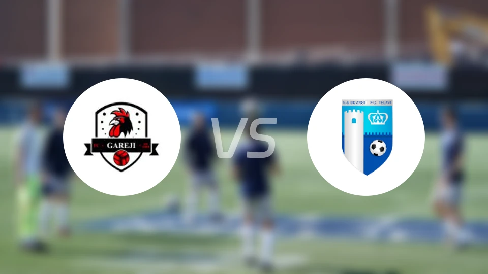 萨加雷焦vs泰拉维比分预测【2025/11/21】