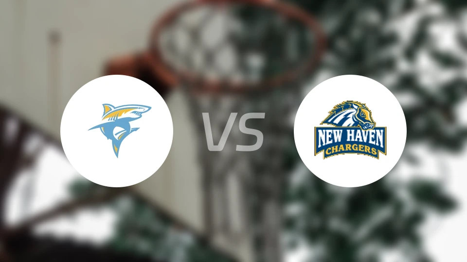 长岛大学vs纽黑文大学比分预测【2026/02/15】