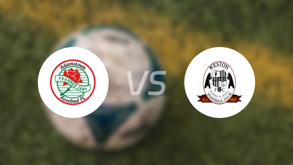 亚登斯顿vs韦斯顿劳动熊比分预测【2026/04/25】