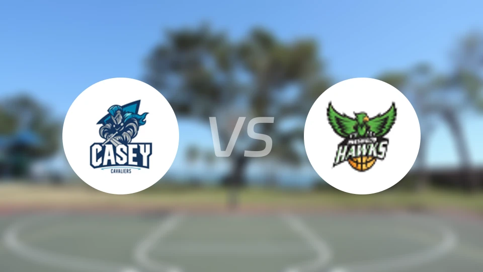 凯西骑士女篮vs灵伍德老鹰女篮比分预测【2026/04/17】