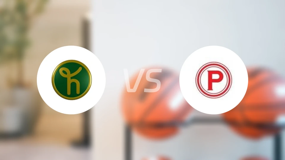 洪卡vs坦佩雷恩比分预测【2025/11/15】