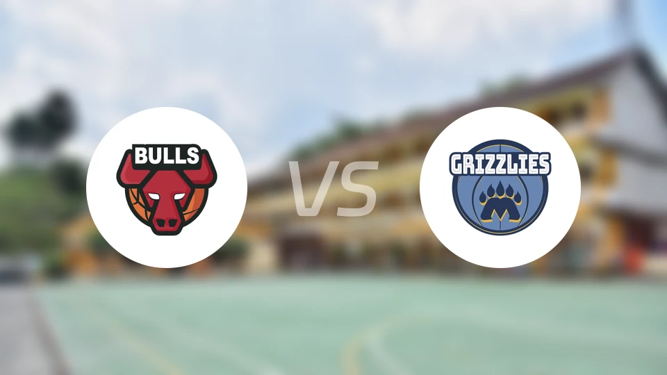 公牛vs灰熊比分结果战报【2026/03/29】