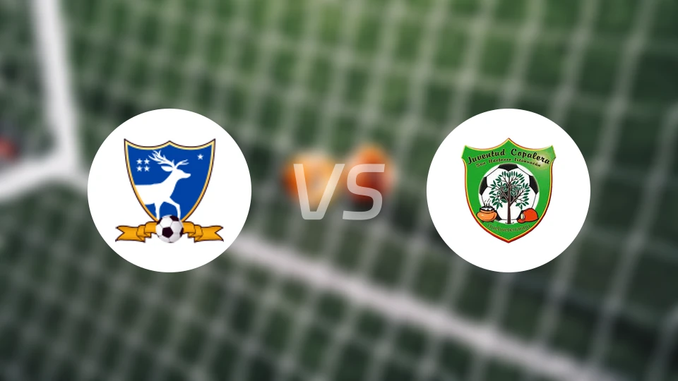 苏奇特佩基vs科帕莱拉比分预测【2026/04/13】