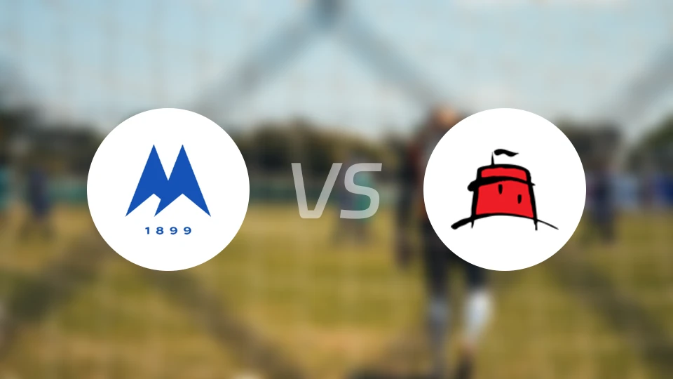 托基联vs东伯尼比分预测【2025/11/22】