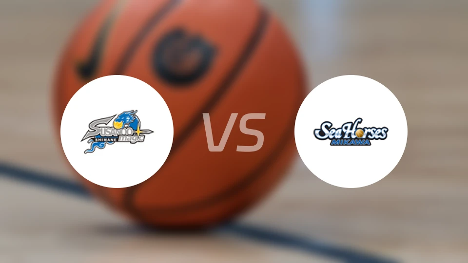 岛根魔术vs三河海马比分预测【2026/02/14】