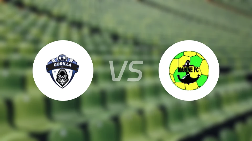 大猩猩FCvs海军陆战队FC比分预测【2026/03/13】