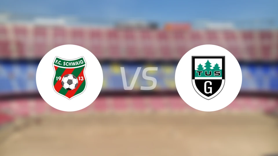 施瓦伊格vs格瑞特瑞德比分预测【2026/03/07】