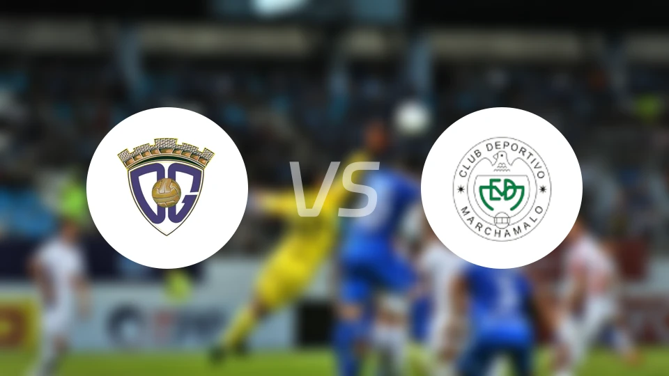 CD瓜达拉哈拉B队vs玛查莫洛比分预测【2026/01/17】